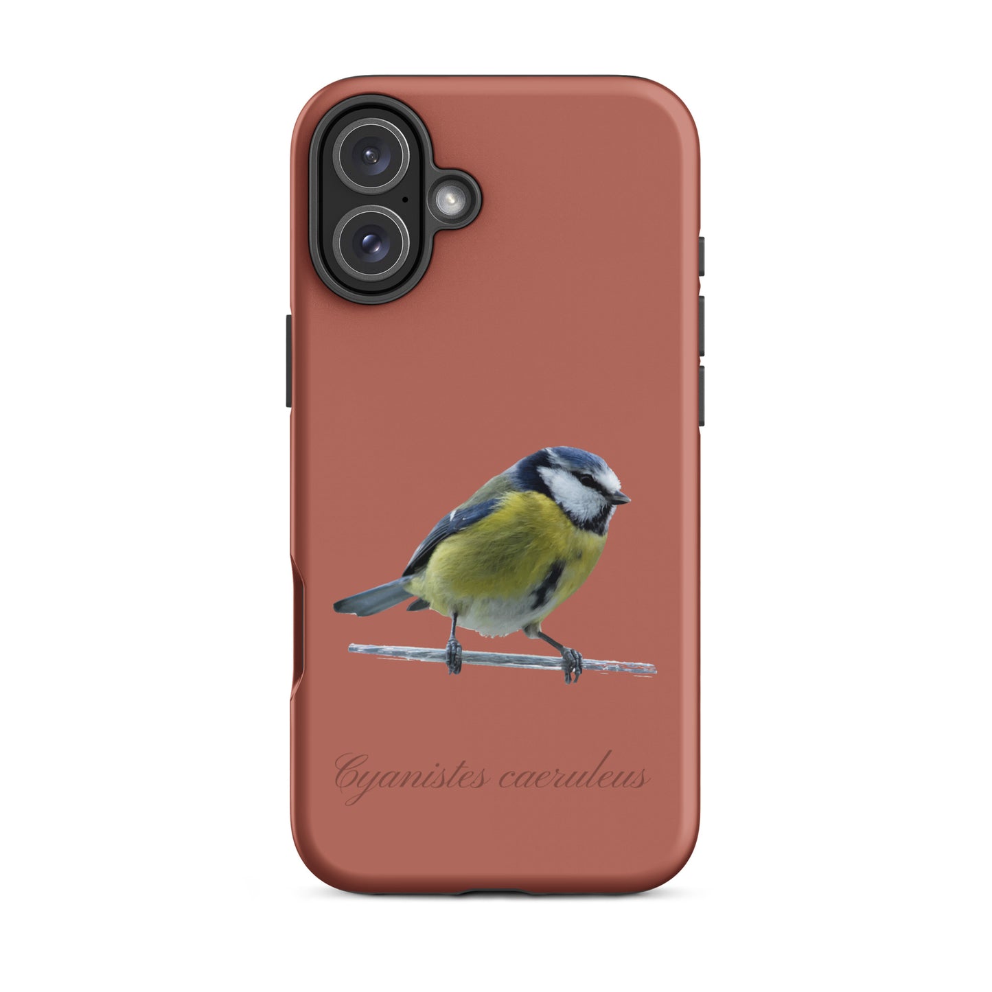 Schutzhülle für Apple iPhone: iPhone Case - Blaumeise - Ziegelrot