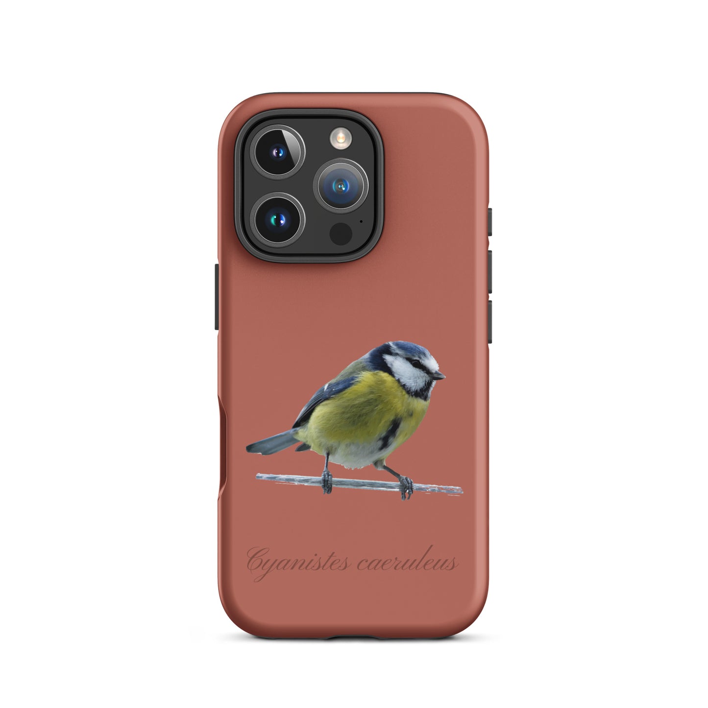 Schutzhülle für Apple iPhone: iPhone Case - Blaumeise - Ziegelrot
