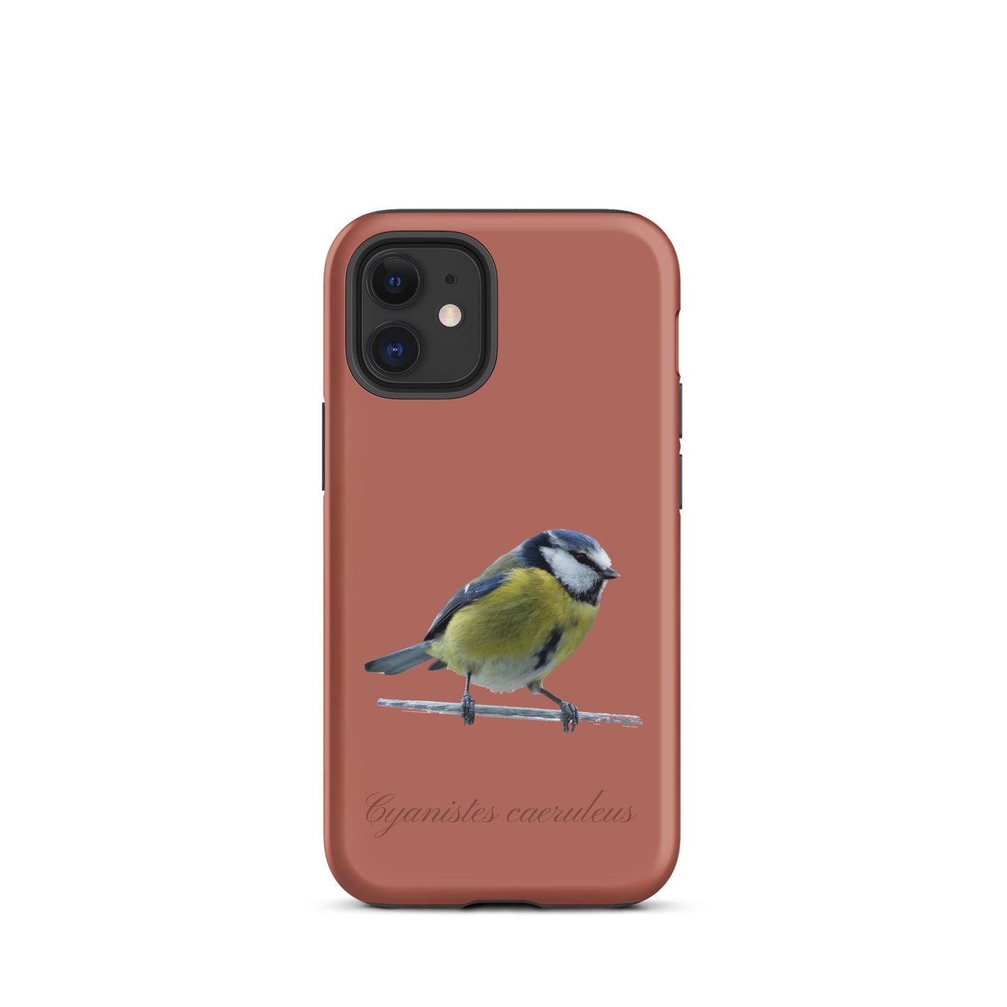 Schutzhülle für Apple iPhone: iPhone Case - Blaumeise - Ziegelrot