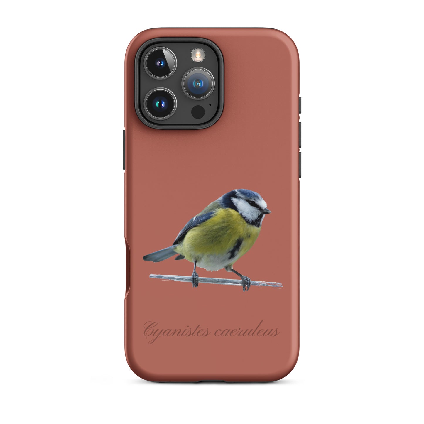 Schutzhülle für Apple iPhone: iPhone Case - Blaumeise - Ziegelrot
