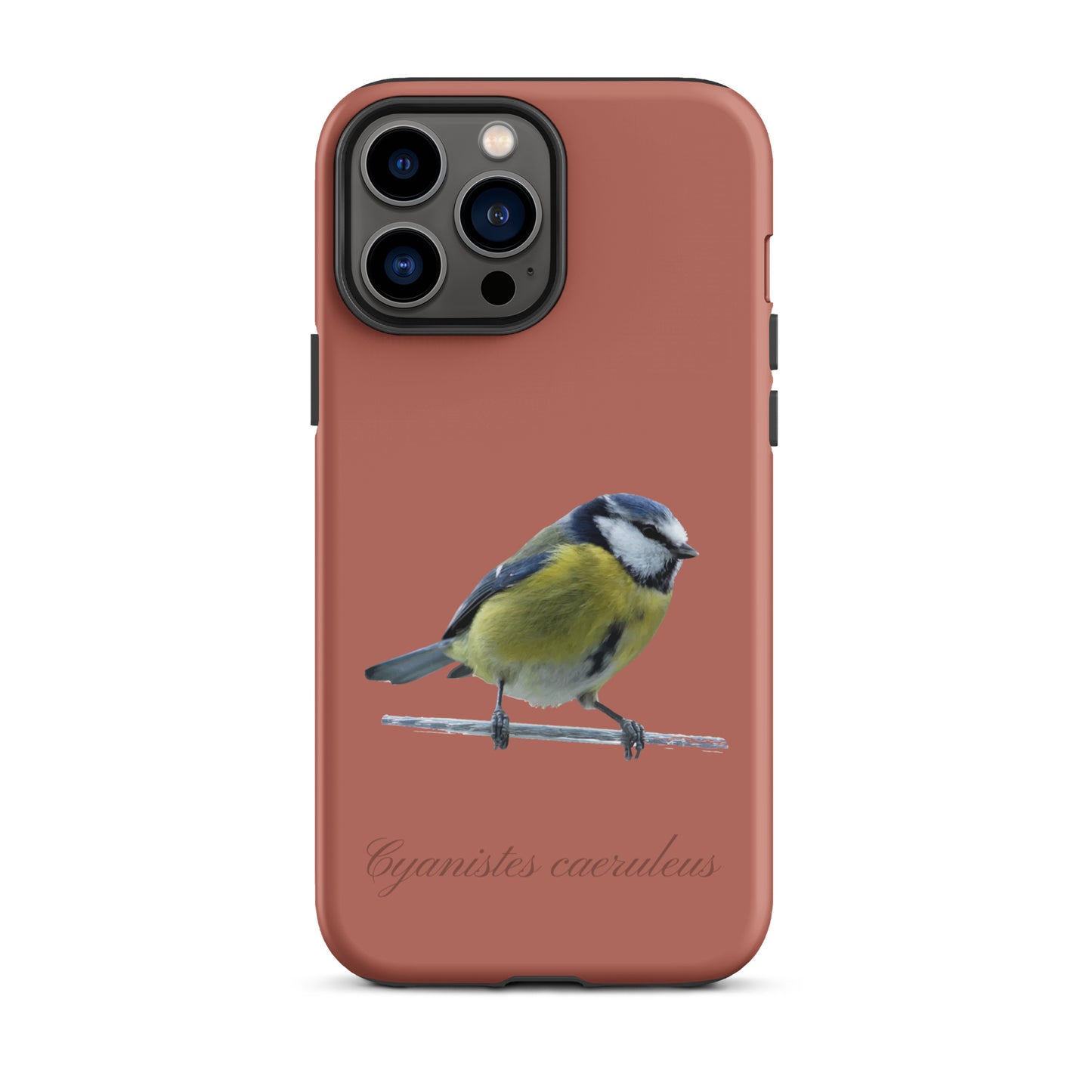 Schutzhülle für Apple iPhone: iPhone Case - Blaumeise - Ziegelrot