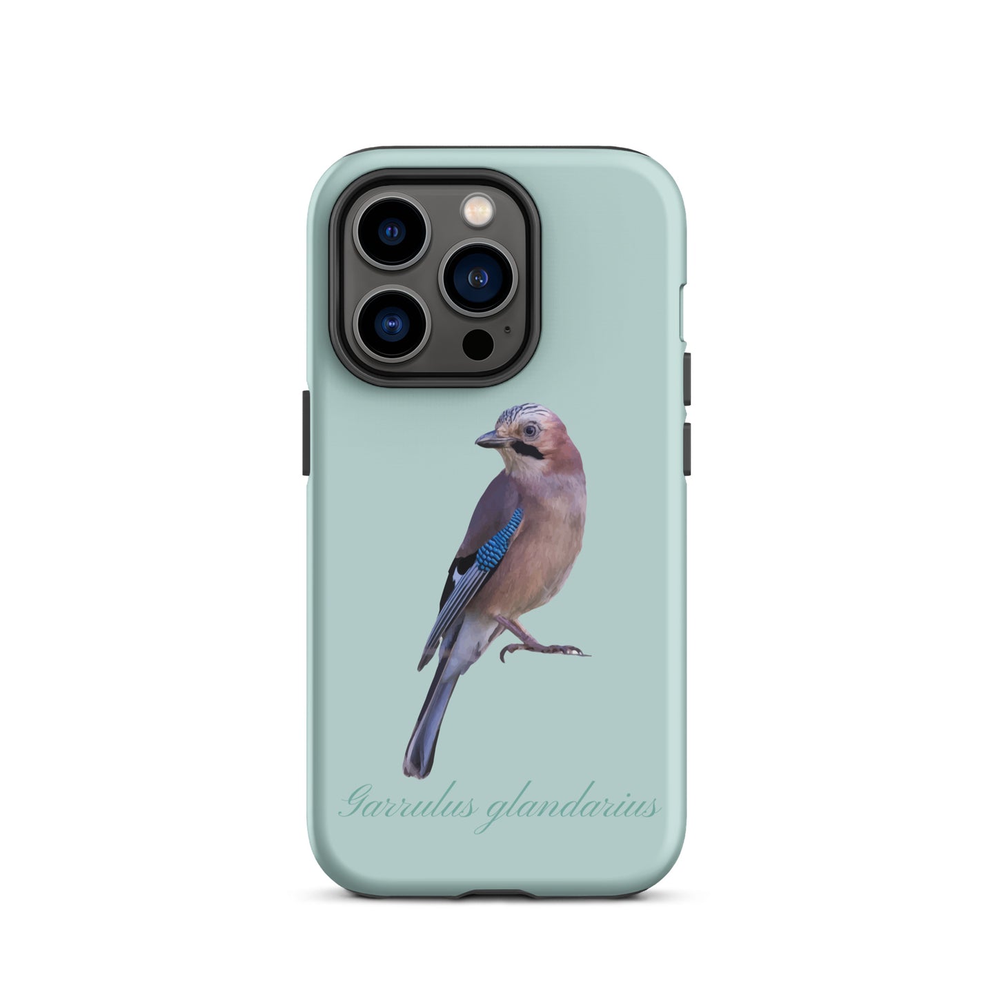 Schutzhülle für Apple iPhone: iPhone Case - Eichelhäher - Hellblau