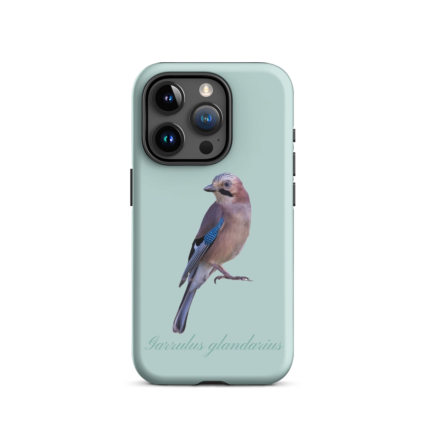 Schutzhülle für Apple iPhone: iPhone Case - Eichelhäher - Hellblau