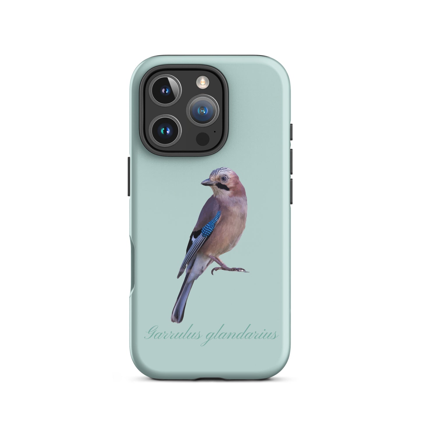 Schutzhülle für Apple iPhone: iPhone Case - Eichelhäher - Hellblau