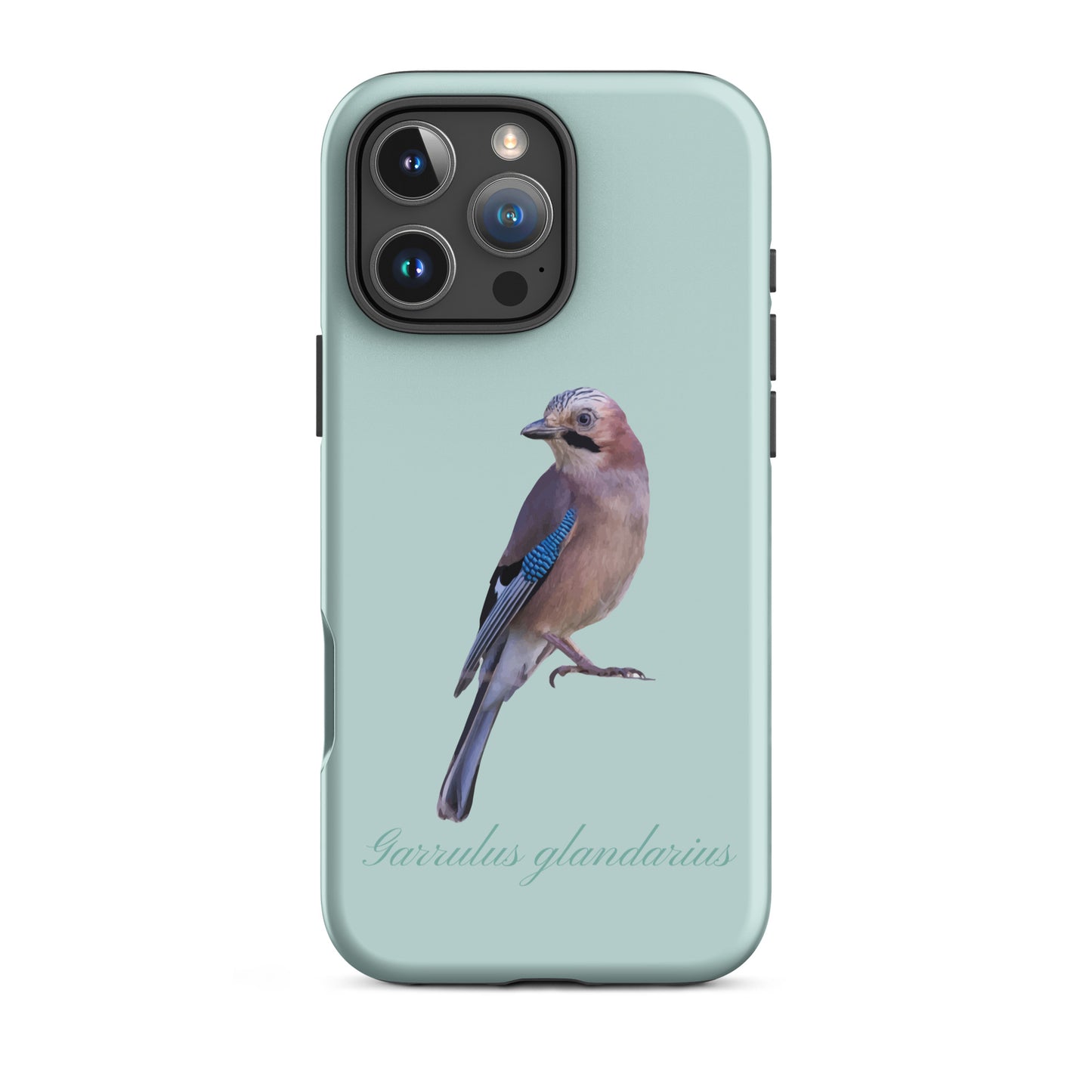 Schutzhülle für Apple iPhone: iPhone Case - Eichelhäher - Hellblau