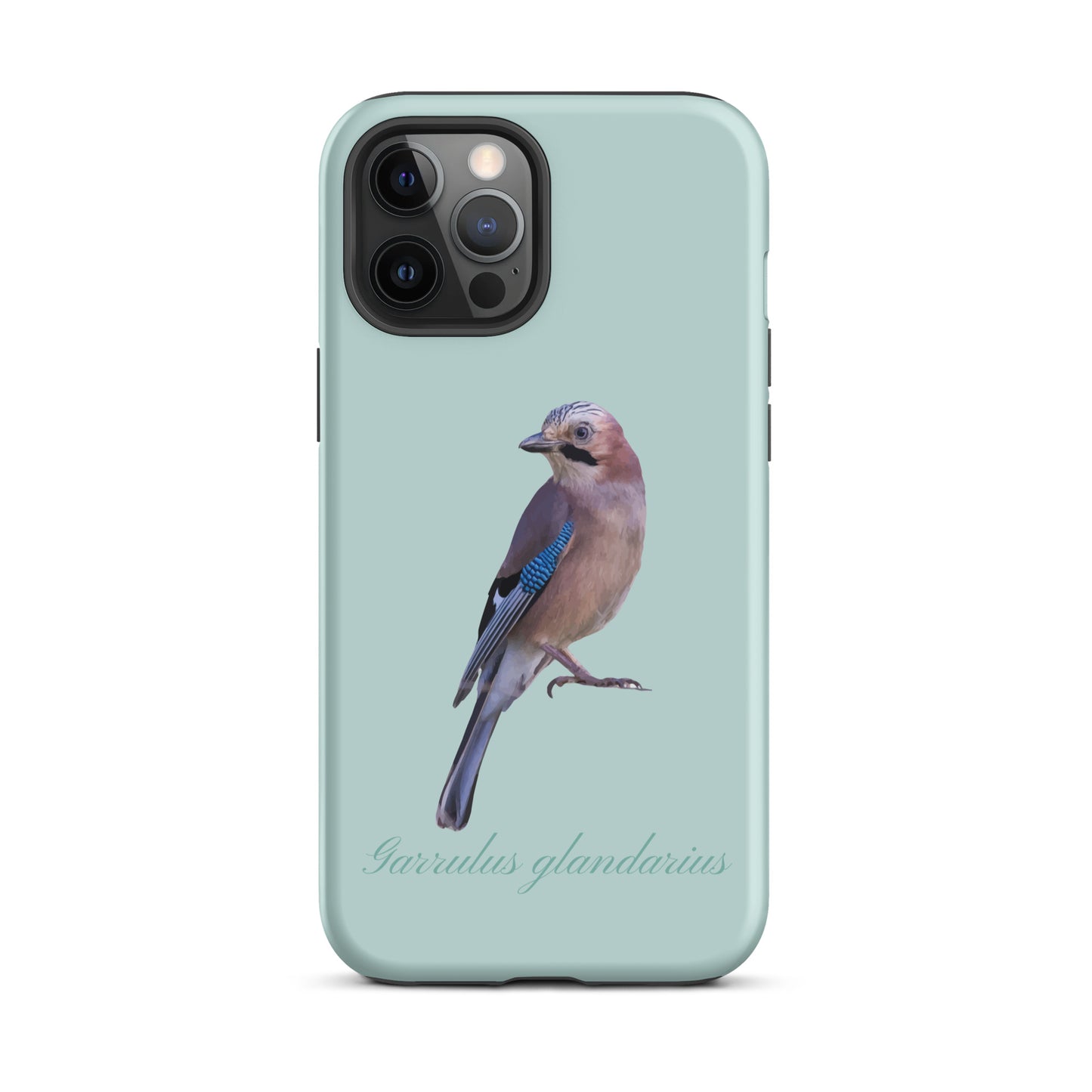 Schutzhülle für Apple iPhone: iPhone Case - Eichelhäher - Hellblau