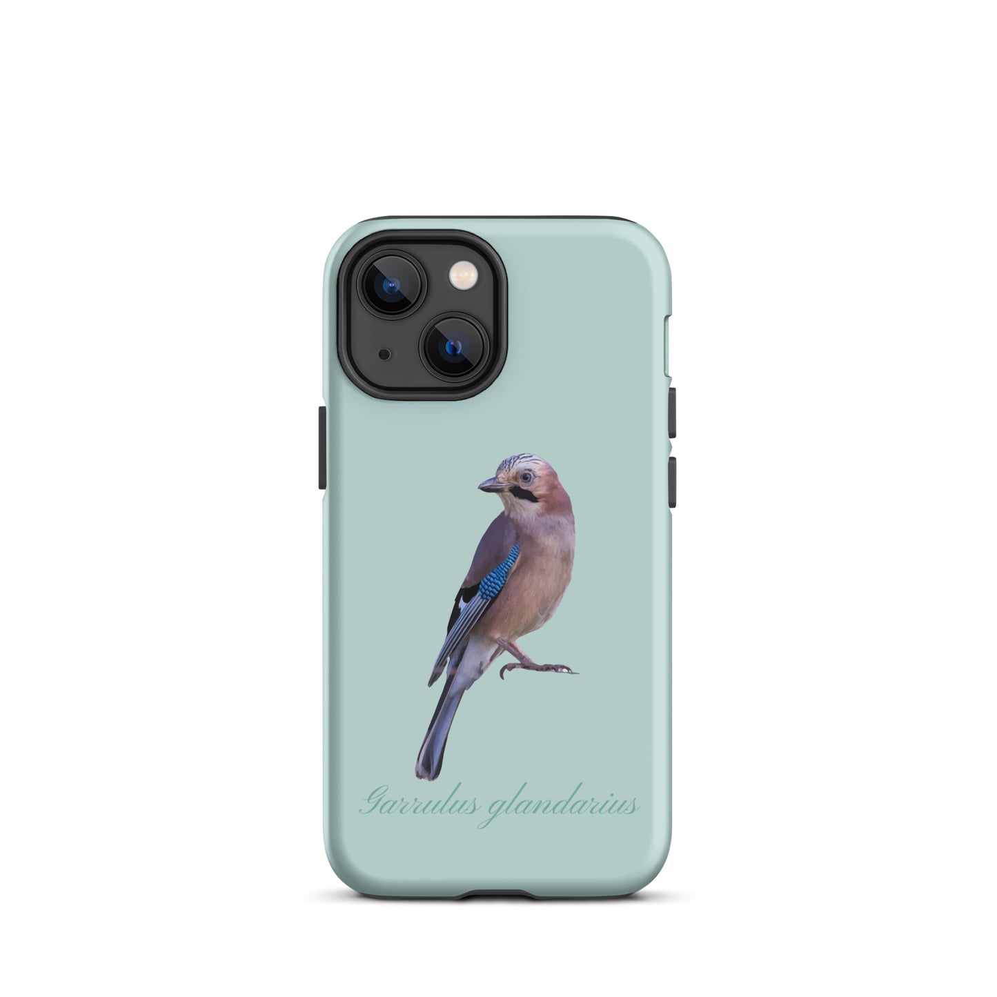 Schutzhülle für Apple iPhone: iPhone Case - Eichelhäher - Hellblau