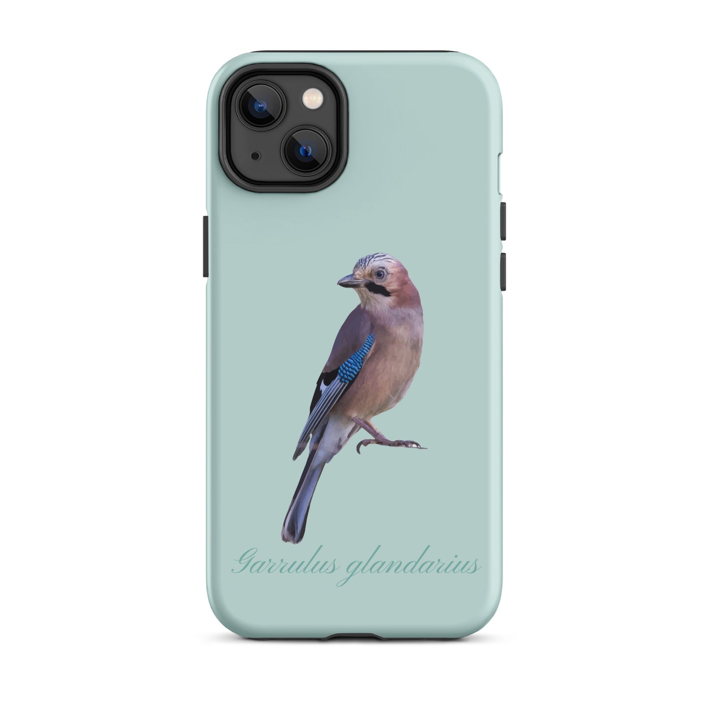 Schutzhülle für Apple iPhone: iPhone Case - Eichelhäher - Hellblau