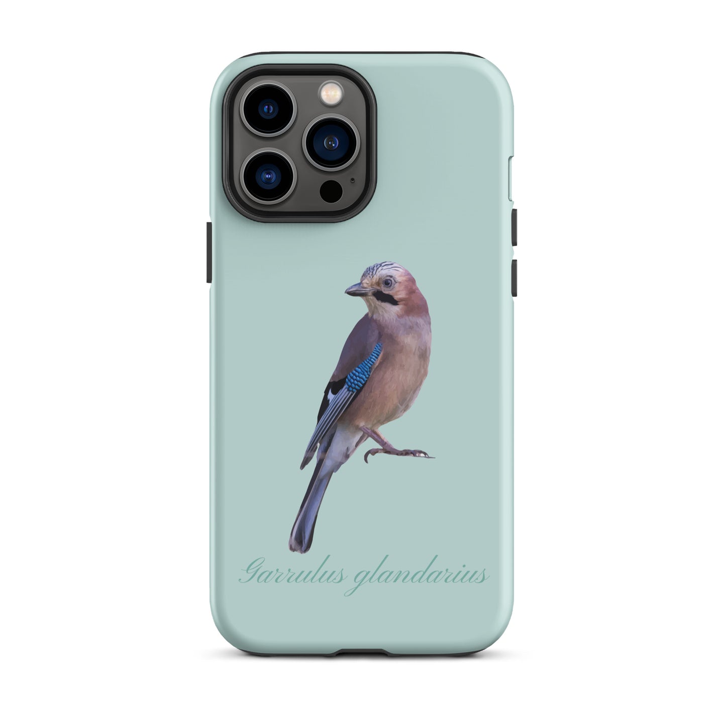 Schutzhülle für Apple iPhone: iPhone Case - Eichelhäher - Hellblau