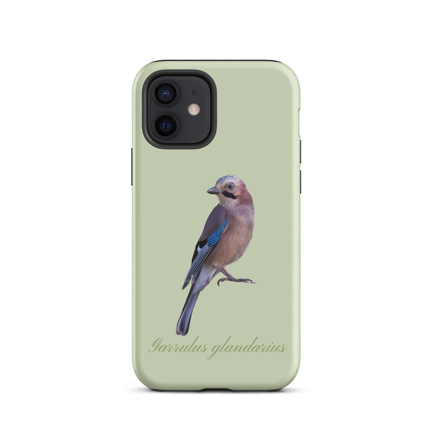 Schutzhülle für Apple iPhone: iPhone Case - Eichelhäher - Hellgrün