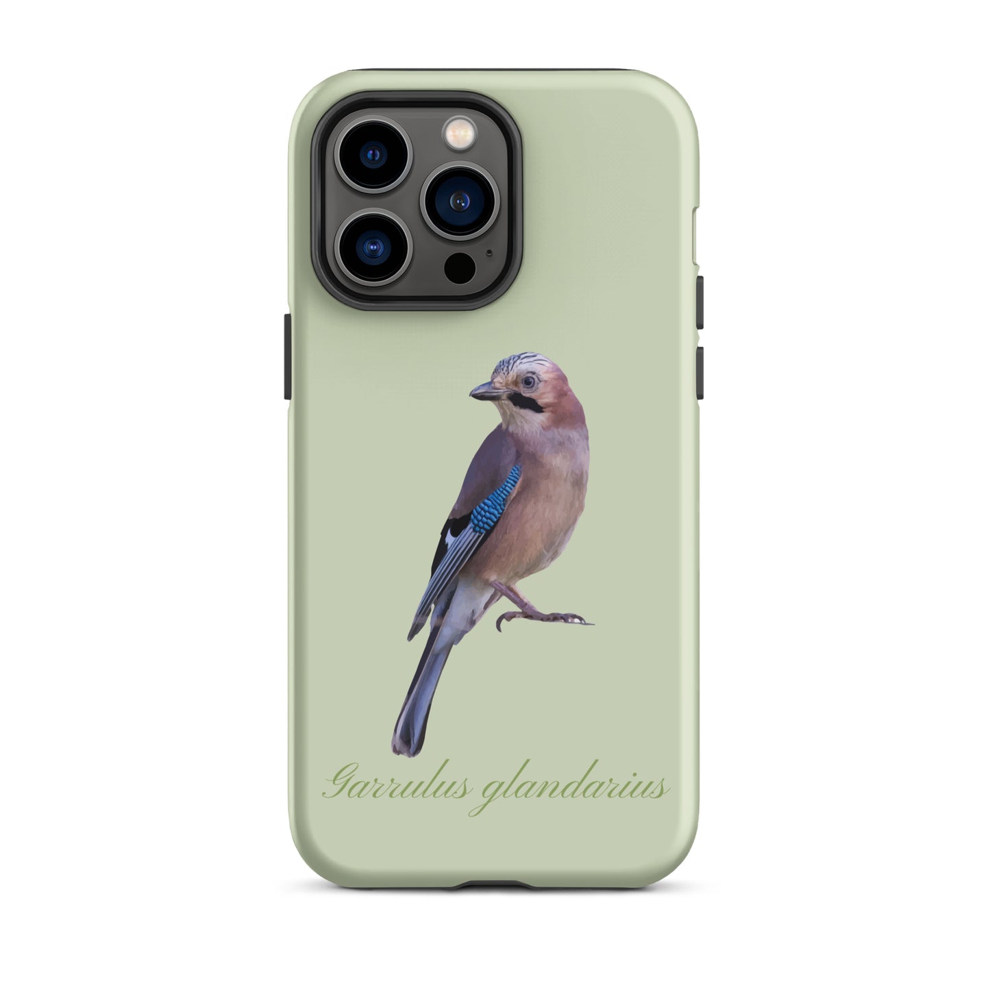 Handyhülle für iPhone mit Eichelhäher-Design in Hellgrün, Schutzhülle aus robustem Material.