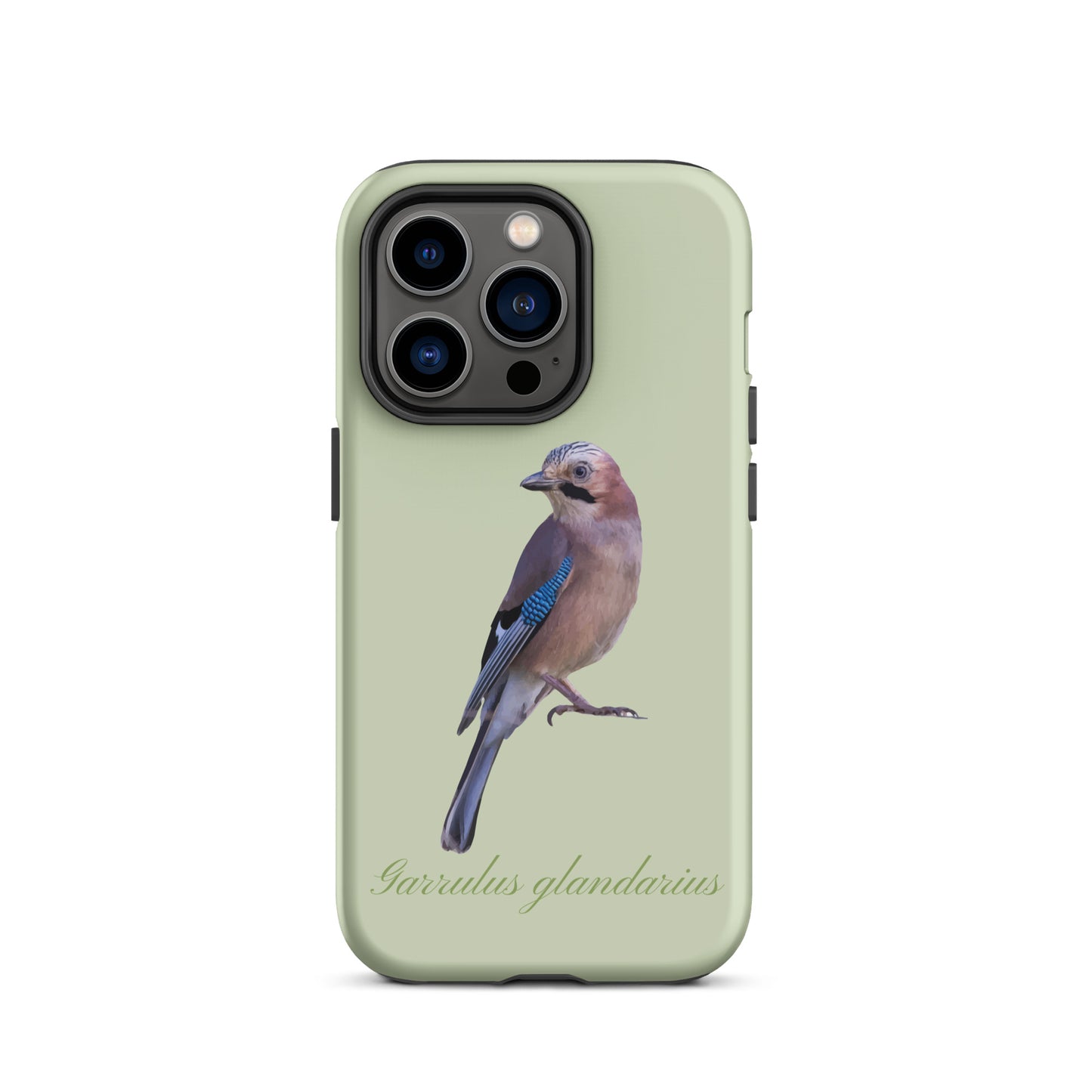 iPhone Handyhülle mit Eichelhäher Motiv in Hellgrün, Schutzhülle aus robustem Material für Apple iPhone.