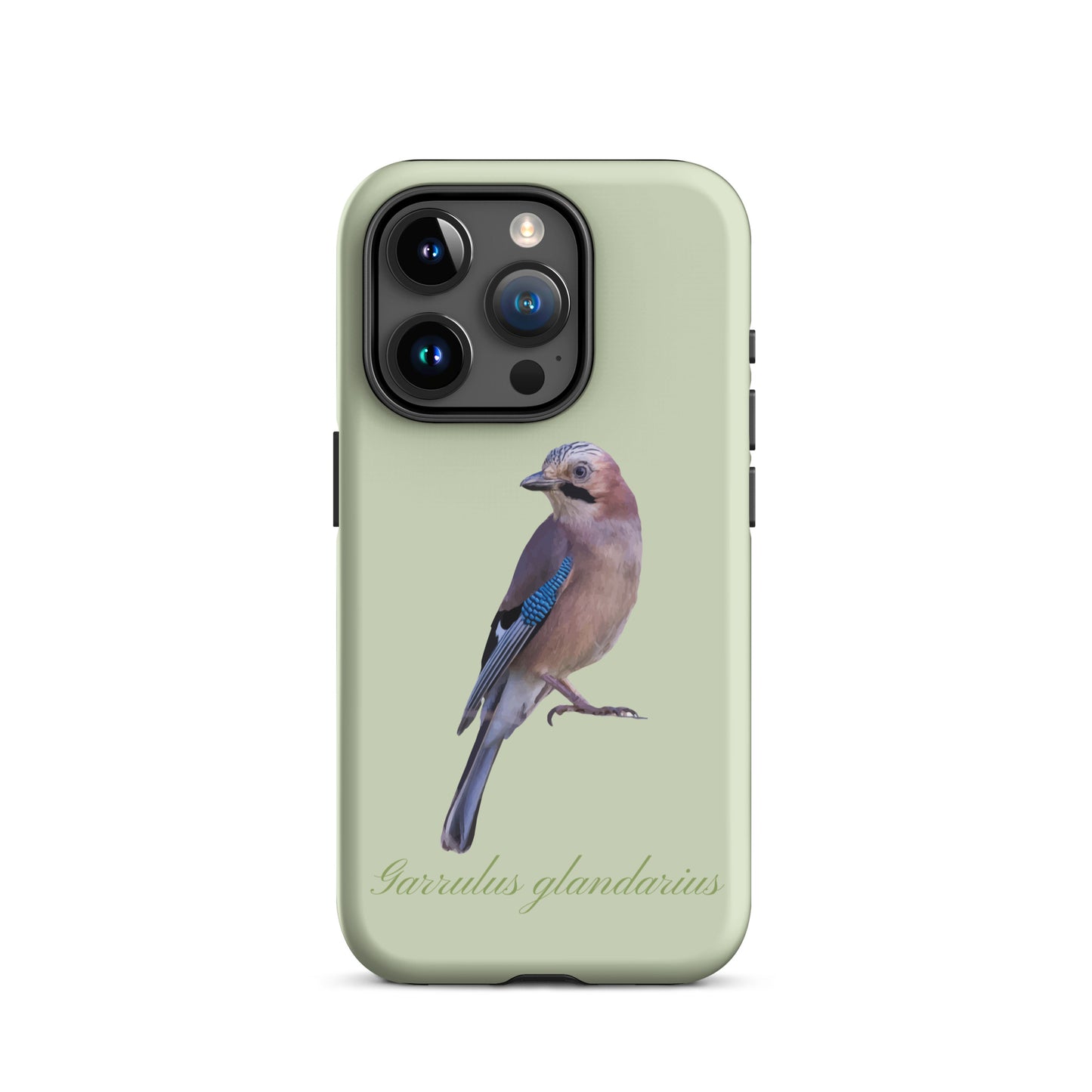 Hellgrüne iPhone-Hülle mit Eichelhäher-Motiv aus robustem Material, Schutzhülle für Apple iPhone.
