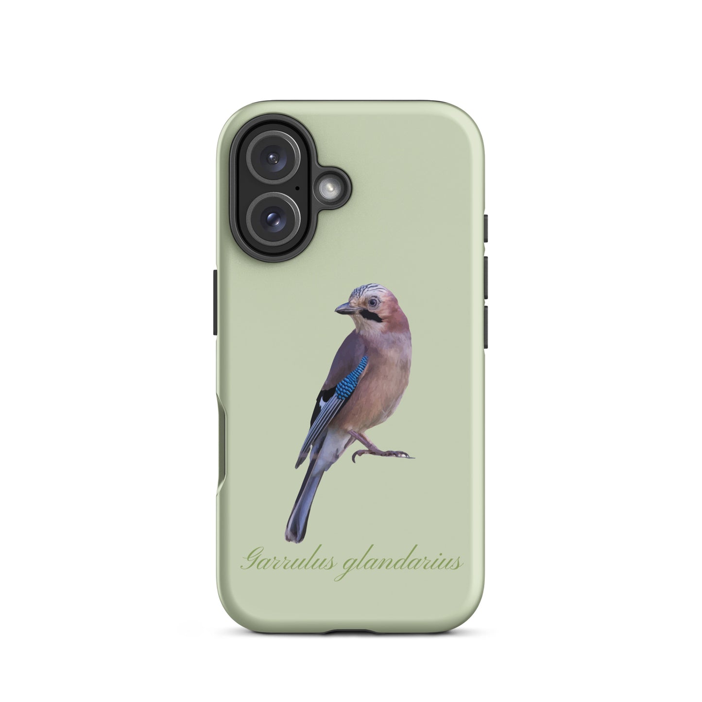 iPhone Hülle mit Eichelhäher-Motiv in Hellgrün, Schutzhülle aus robustem Material