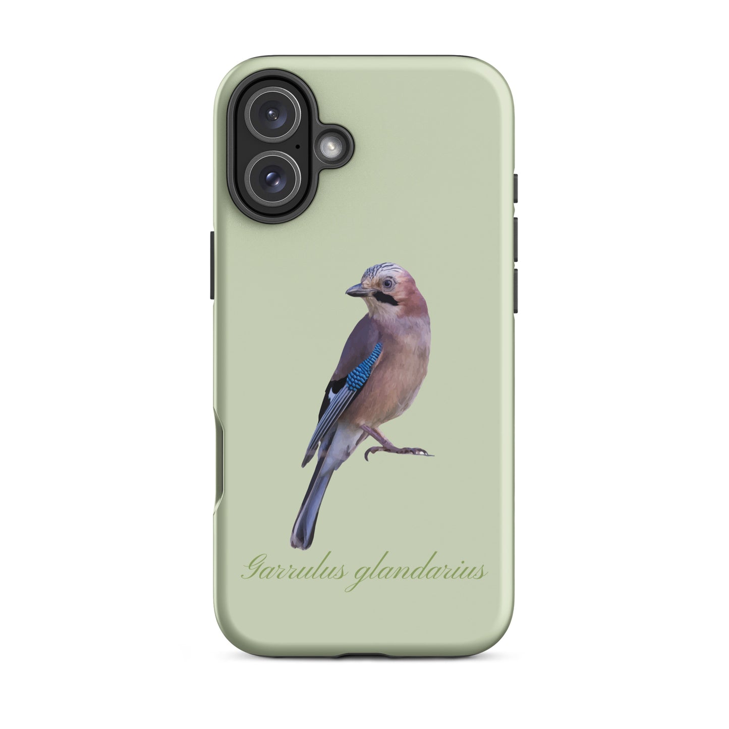 Hellgrüne iPhone-Hülle mit Eichelhäher-Motiv, Schutzhülle aus robustem Material für Apple iPhone.
