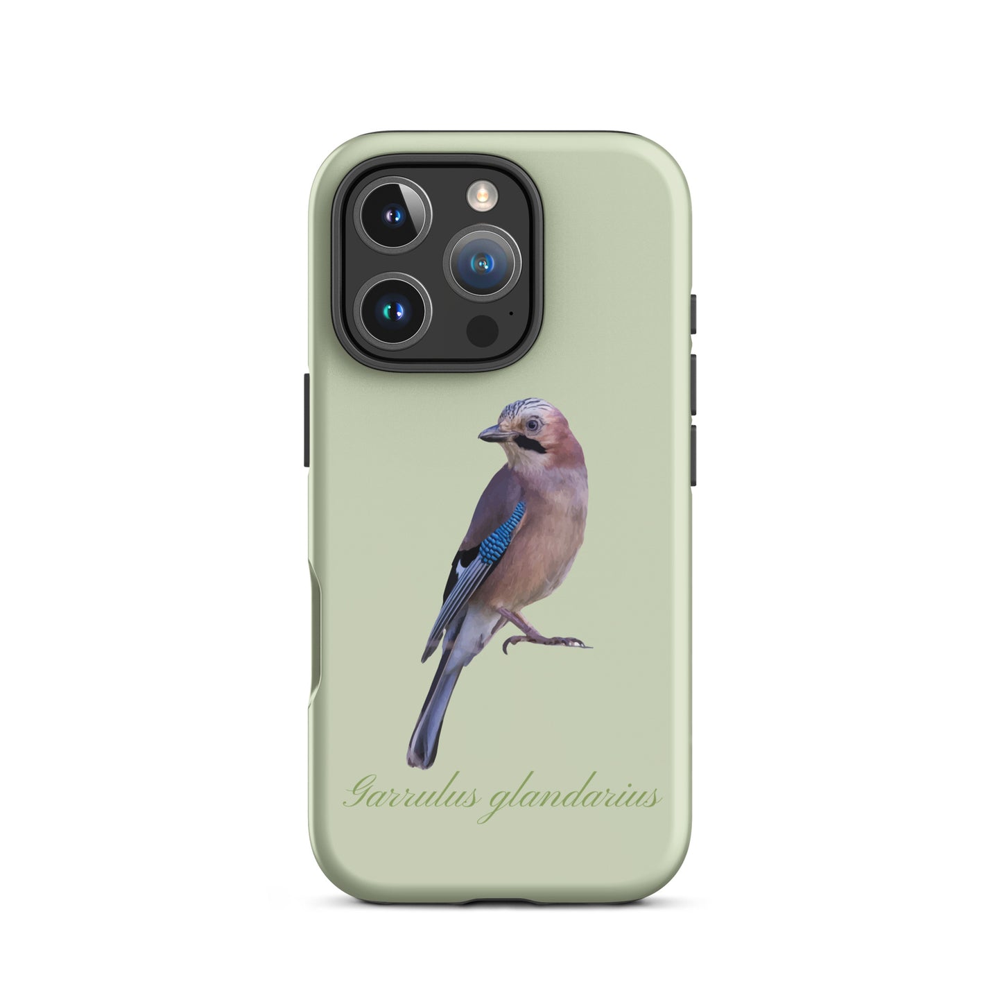 Hellgrüne iPhone-Hülle mit Eichelhäher-Motiv aus robustem Kunststoff, Schutzhülle für Apple iPhone