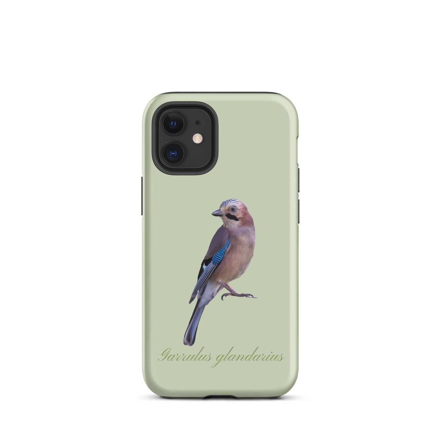 Handyhülle für iPhone mit Eichelhäher-Motiv in Hellgrün, Schutzhülle aus robustem Material