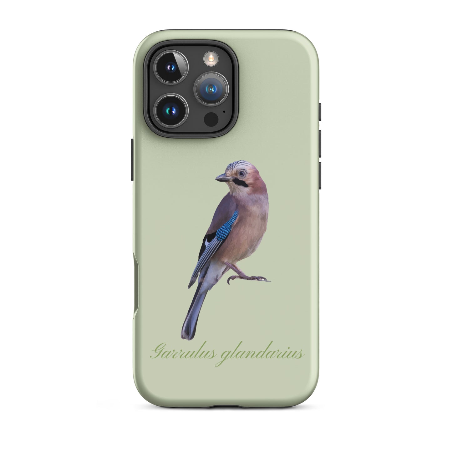 Schutzhülle für iPhone mit Eichelhäher-Motiv in Hellgrün, robustes Design, präzise Aussparungen.