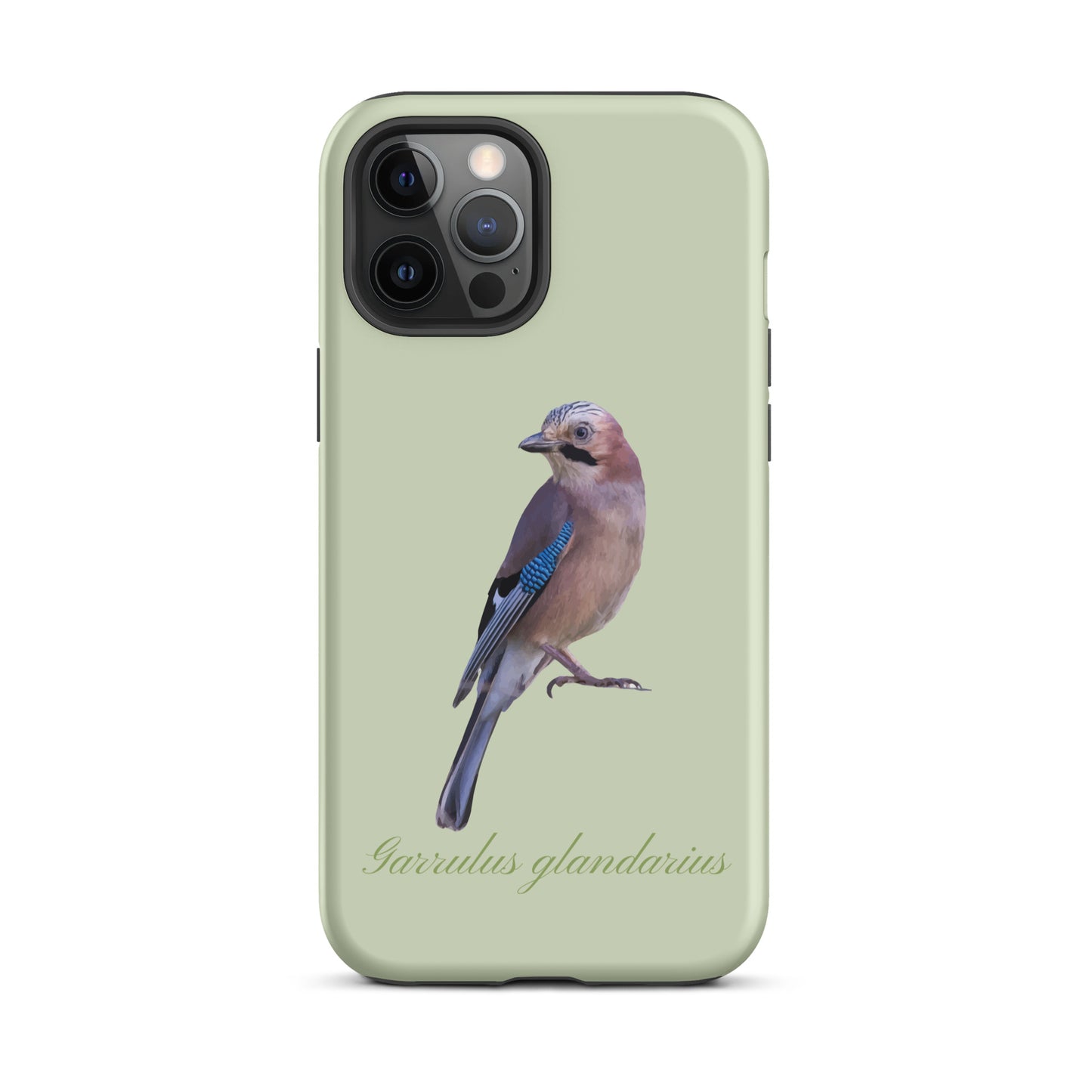 iPhone Handyhülle mit Eichelhäher Motiv in Hellgrün, Schutzhülle aus robustem Material für Apple iPhone.