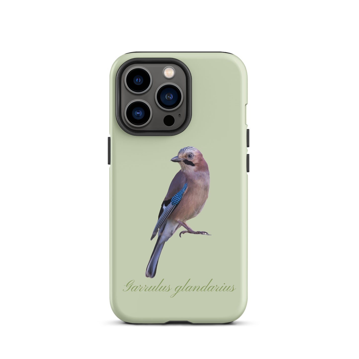 Handyhülle für iPhone mit Eichelhäher-Motiv in Hellgrün, Schutzhülle aus robustem Material
