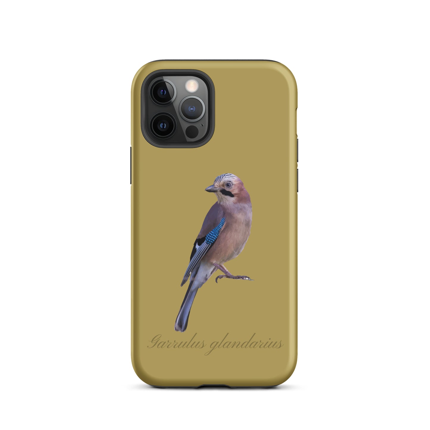 Schutzhülle für Apple iPhone: iPhone Case - Eichelhäher - Ockergelb