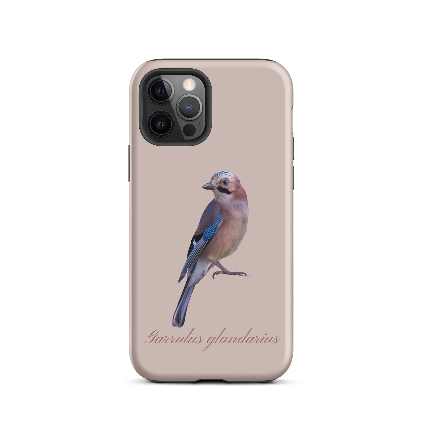 Schutzhülle für Apple iPhone: iPhone Case - Eichelhäher - Rosa