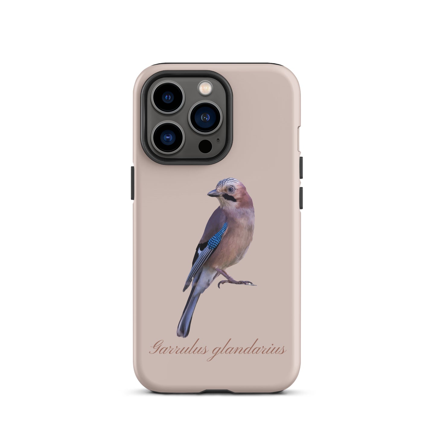 Schutzhülle für Apple iPhone: iPhone Case - Eichelhäher - Rosa