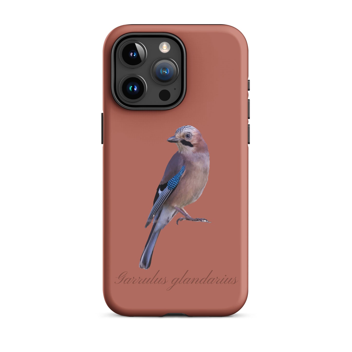 Schutzhülle für Apple iPhone: iPhone Case - Eichelhäher - Ziegelrot