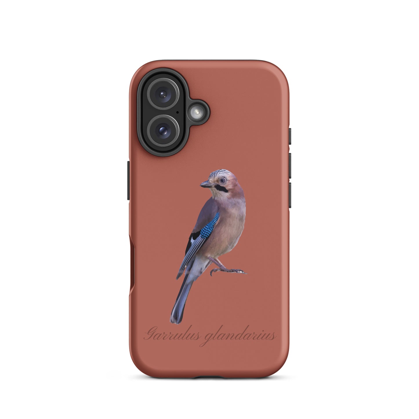 Schutzhülle für Apple iPhone: iPhone Case - Eichelhäher - Ziegelrot