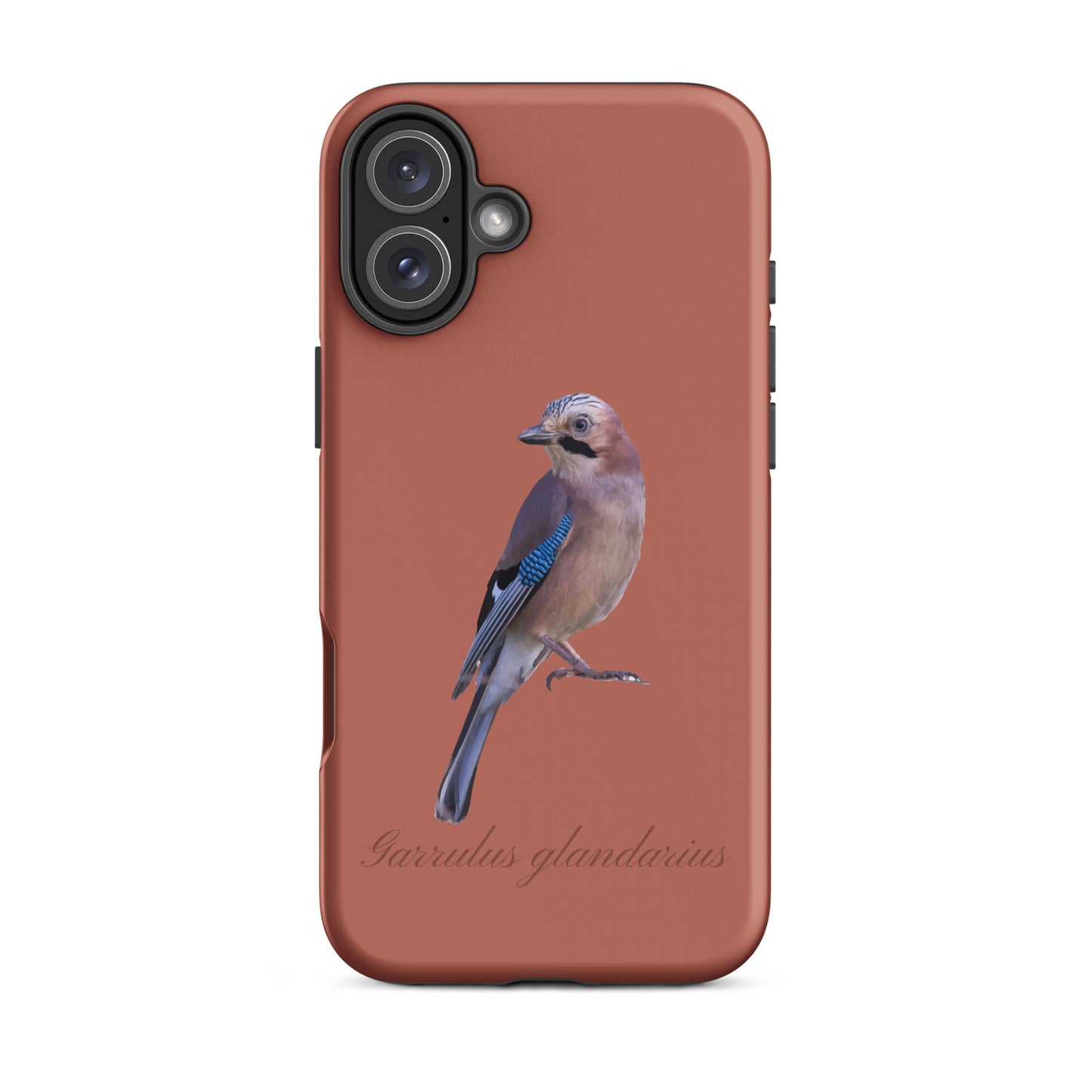 Schutzhülle für Apple iPhone: iPhone Case - Eichelhäher - Ziegelrot