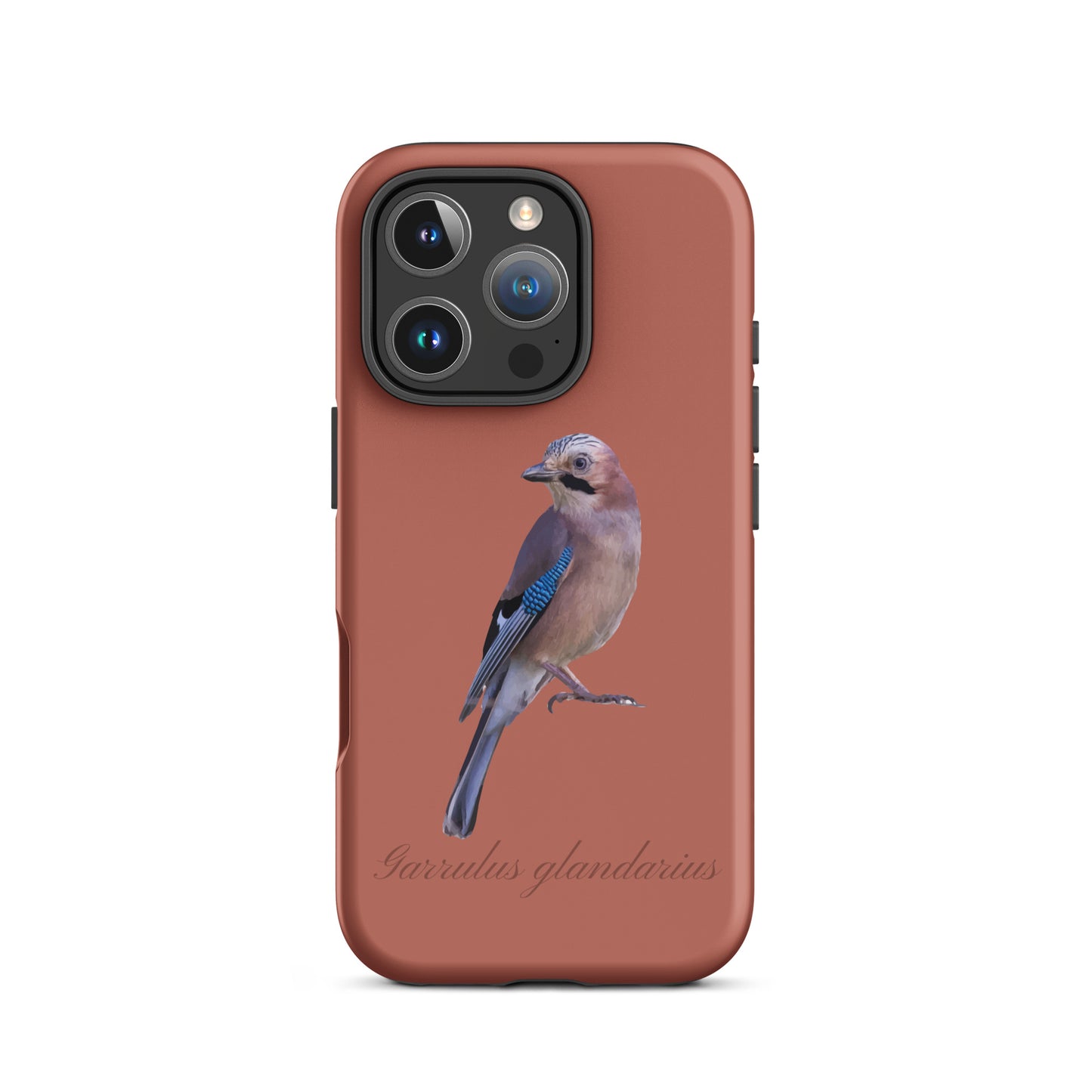 Schutzhülle für Apple iPhone: iPhone Case - Eichelhäher - Ziegelrot