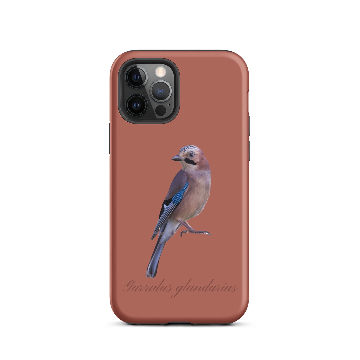 Schutzhülle für Apple iPhone: iPhone Case - Eichelhäher - Ziegelrot