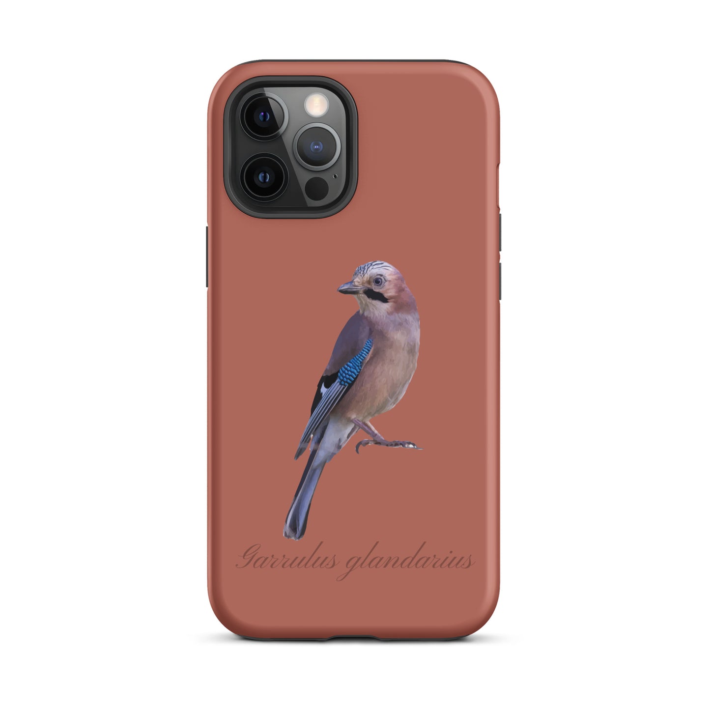 Schutzhülle für Apple iPhone: iPhone Case - Eichelhäher - Ziegelrot