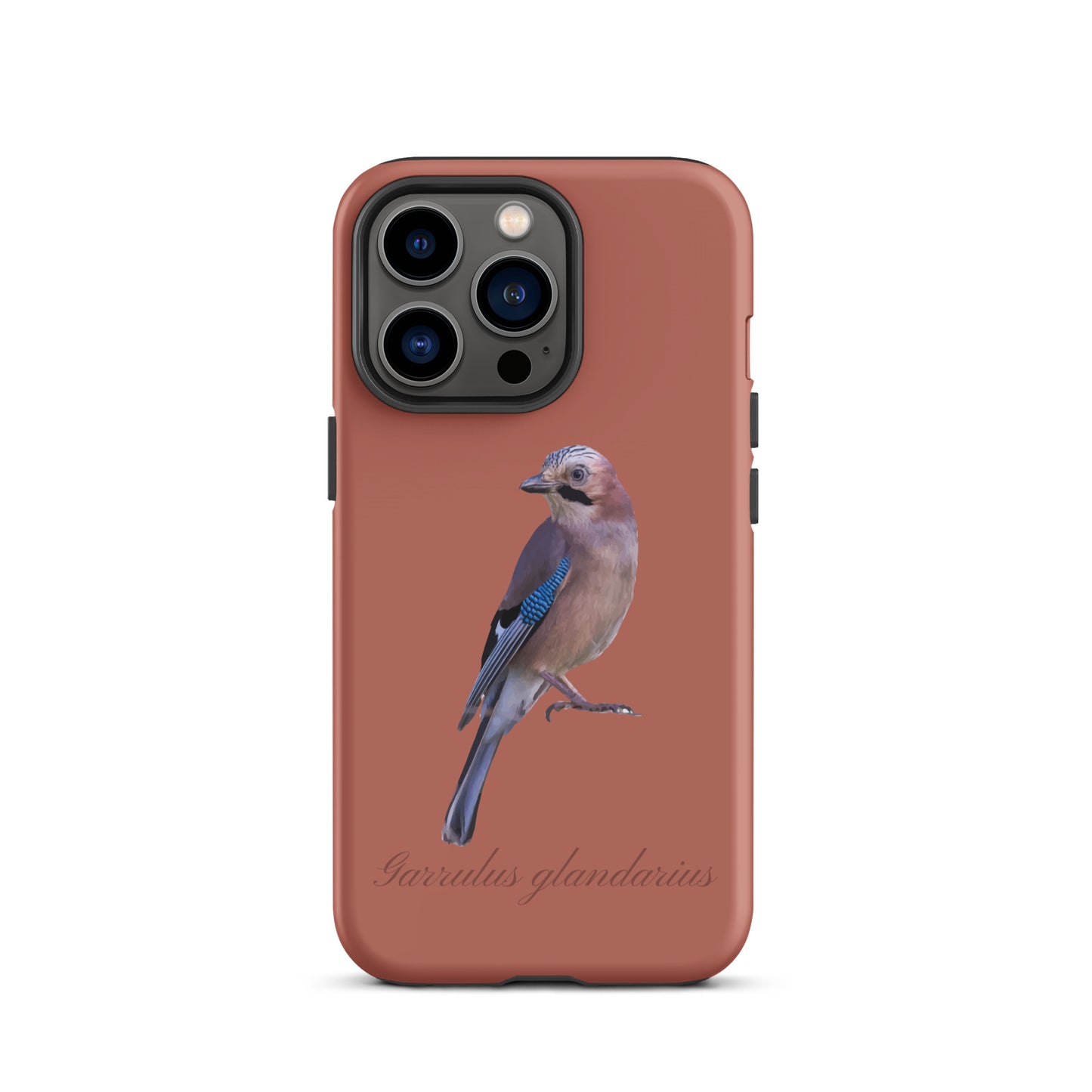 Schutzhülle für Apple iPhone: iPhone Case - Eichelhäher - Ziegelrot