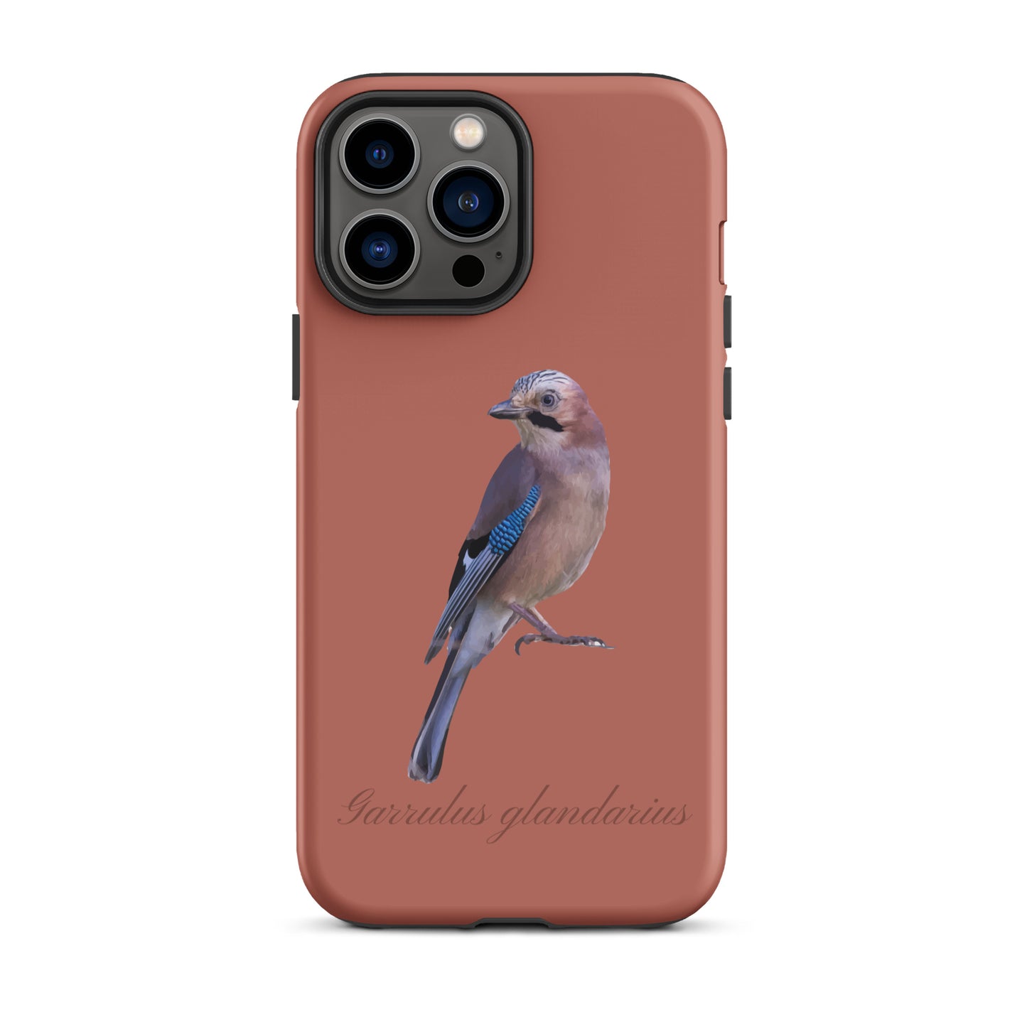 Schutzhülle für Apple iPhone: iPhone Case - Eichelhäher - Ziegelrot