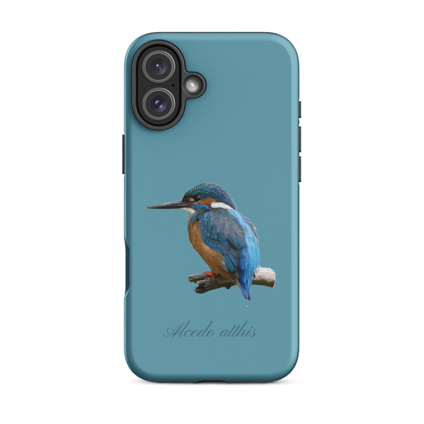 Schutzhülle für Apple iPhone: iPhone Case - Eisvogel - Gletscherwasserblau