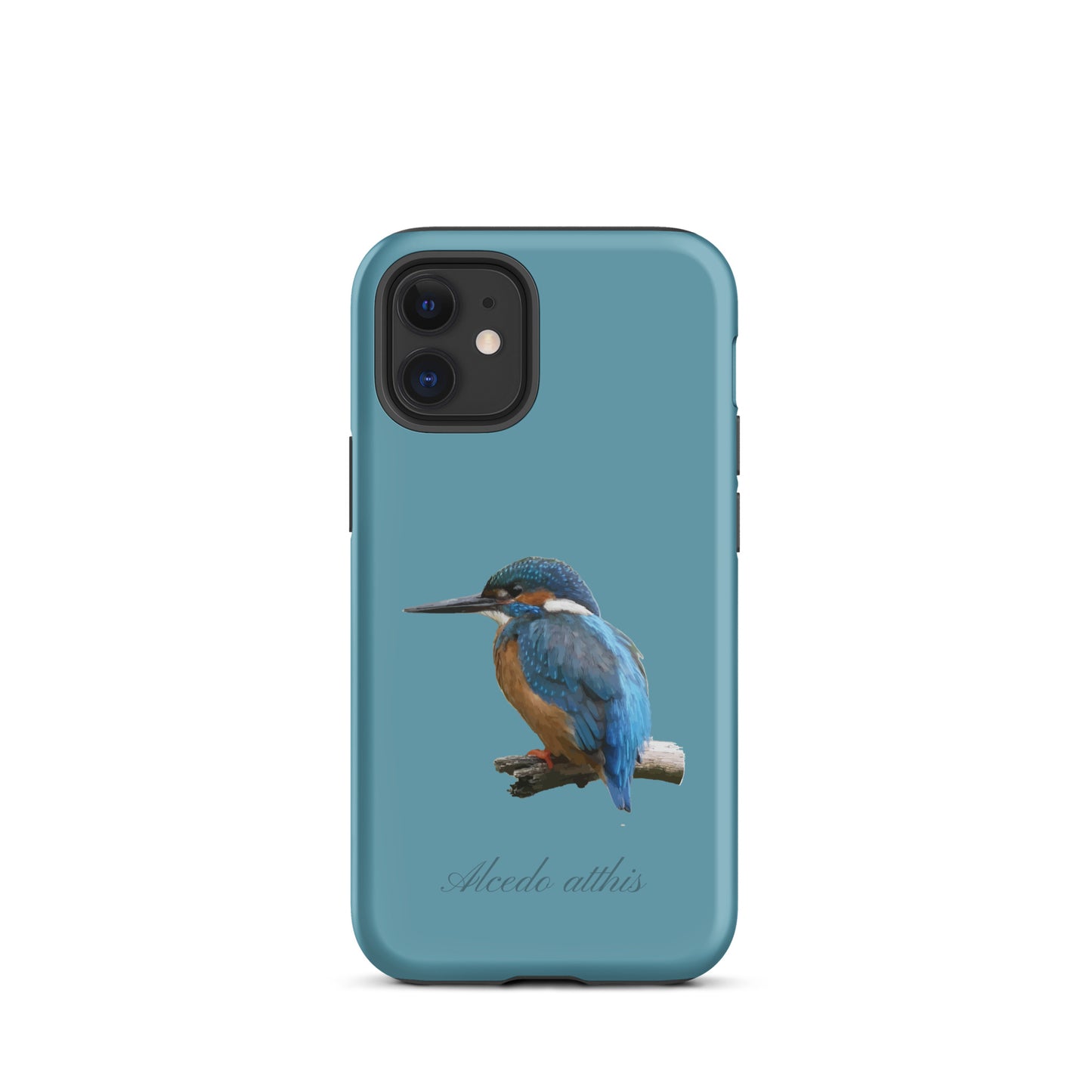 Schutzhülle für Apple iPhone: iPhone Case - Eisvogel - Gletscherwasserblau