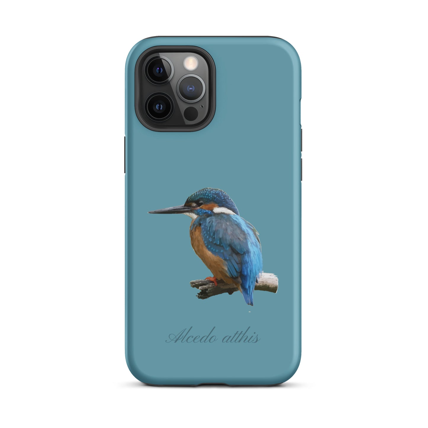 Schutzhülle für Apple iPhone: iPhone Case - Eisvogel - Gletscherwasserblau