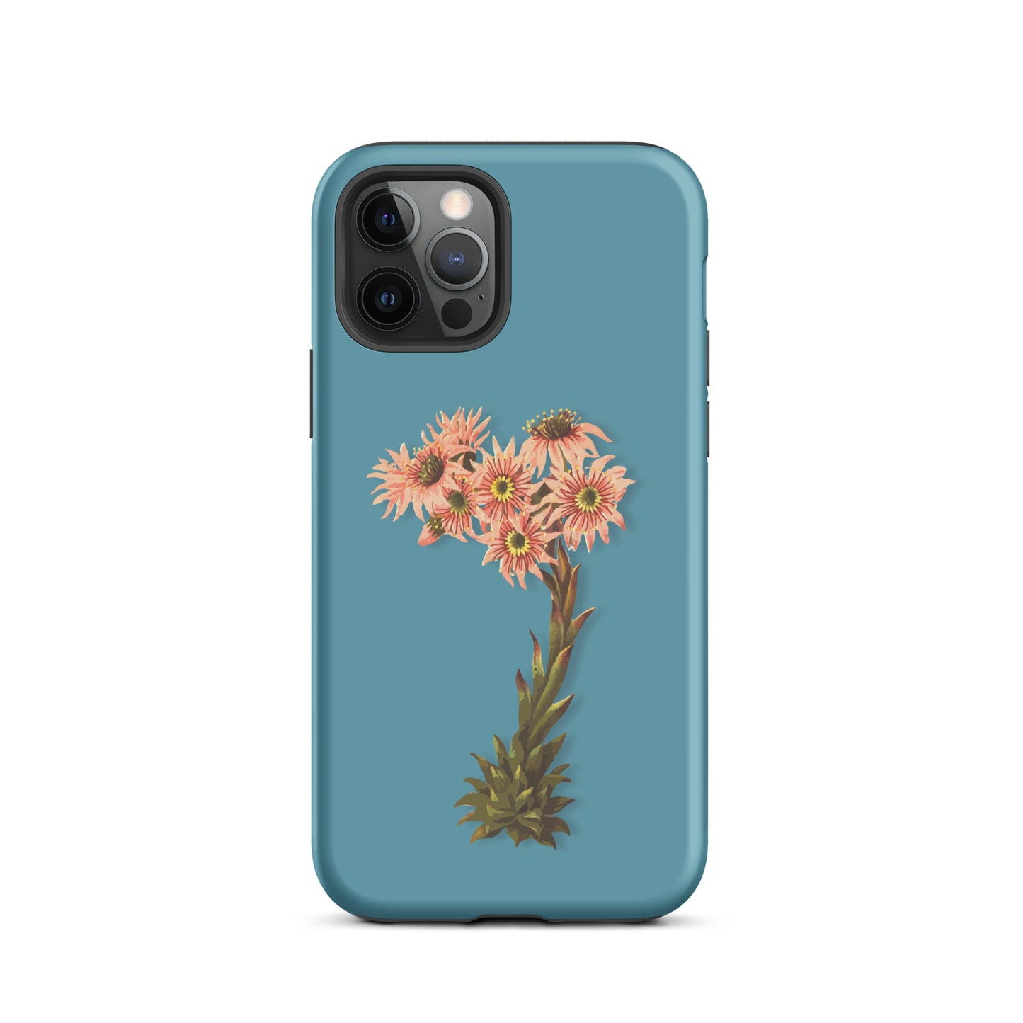 iPhone Case Hauswurz in Gletscherwasserblau, robuste Schutzhülle mit Naturmotiv für Apple iPhone.