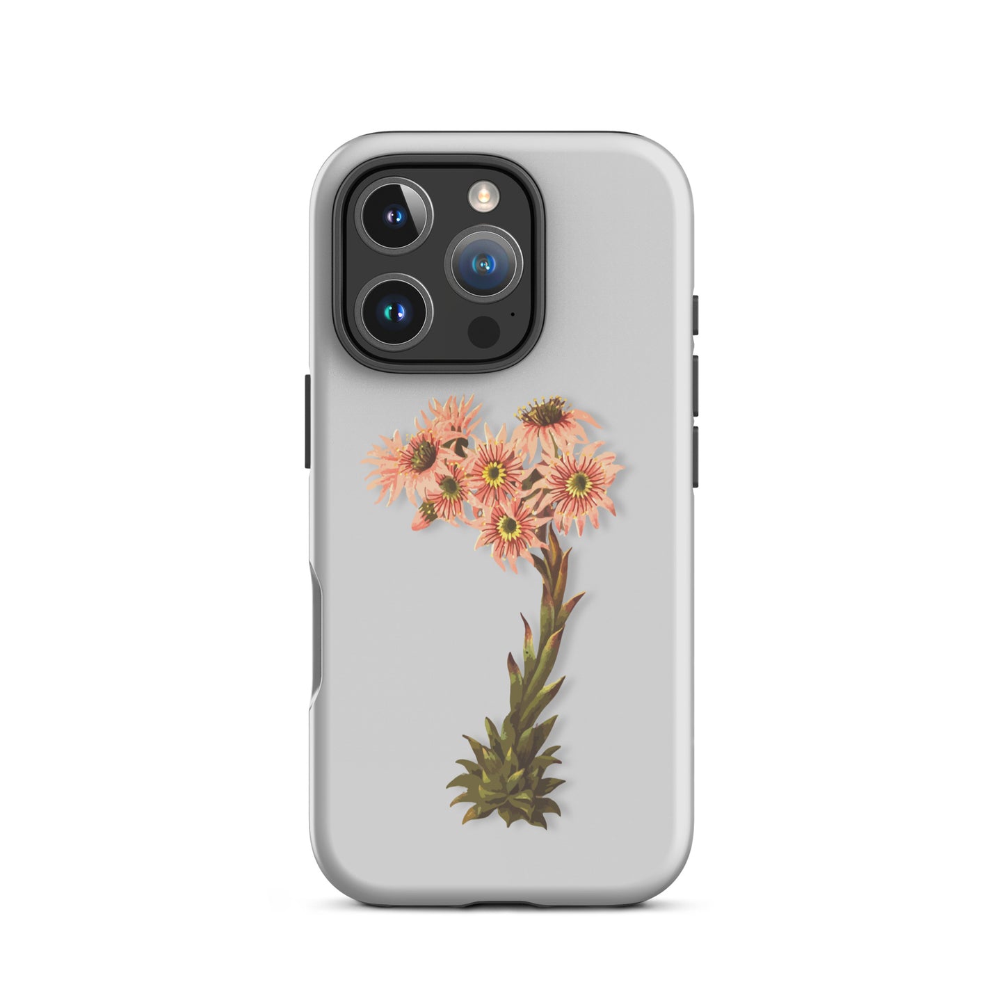 Graue iPhone-Schutzhülle mit Hauswurz-Design, robust und stilvoll, passend für Apple iPhone