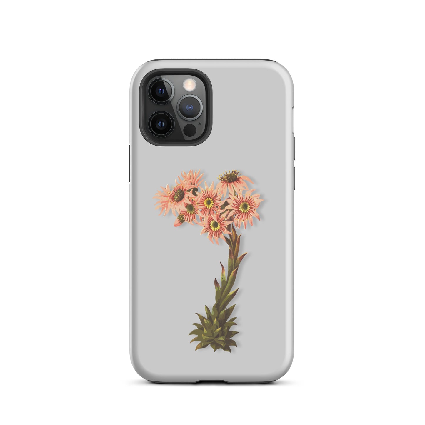 Graue Handyhülle für iPhone mit Hauswurz-Motiv, Schutzhülle aus robustem Material.