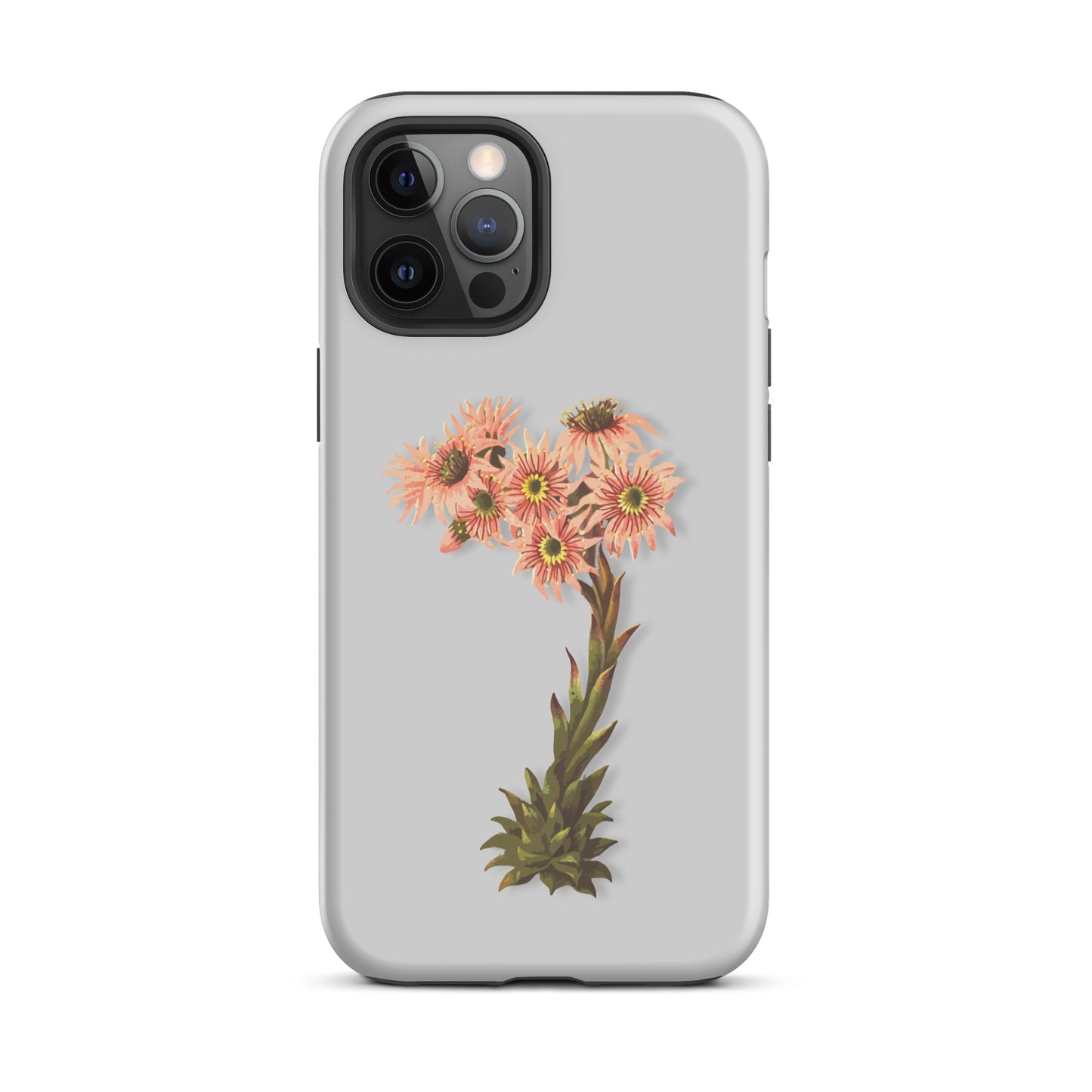 Graue iPhone Schutzhülle mit Hauswurz-Design, robust und stilvoll für dein Apple iPhone.