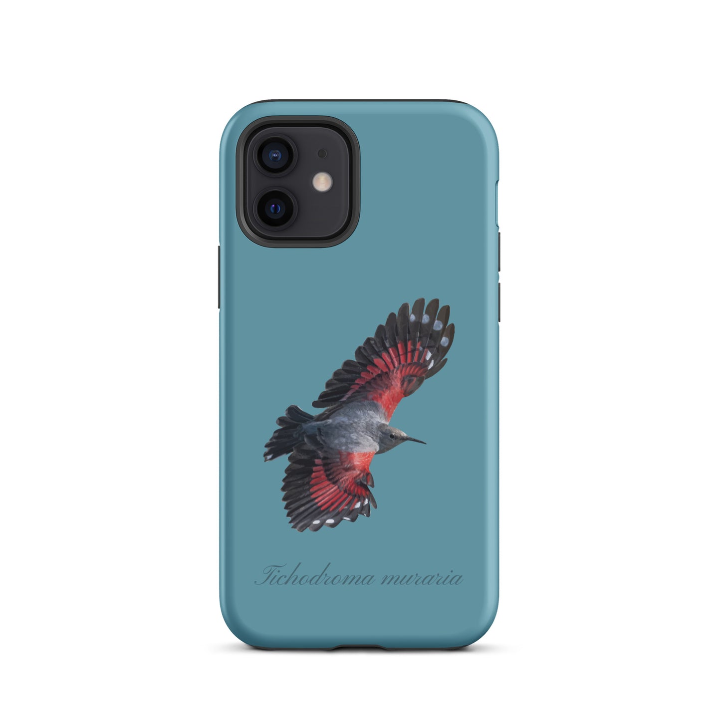 Schutzhülle für Apple iPhone: iPhone Case - Mauerläufer - Gletscherwasserblau