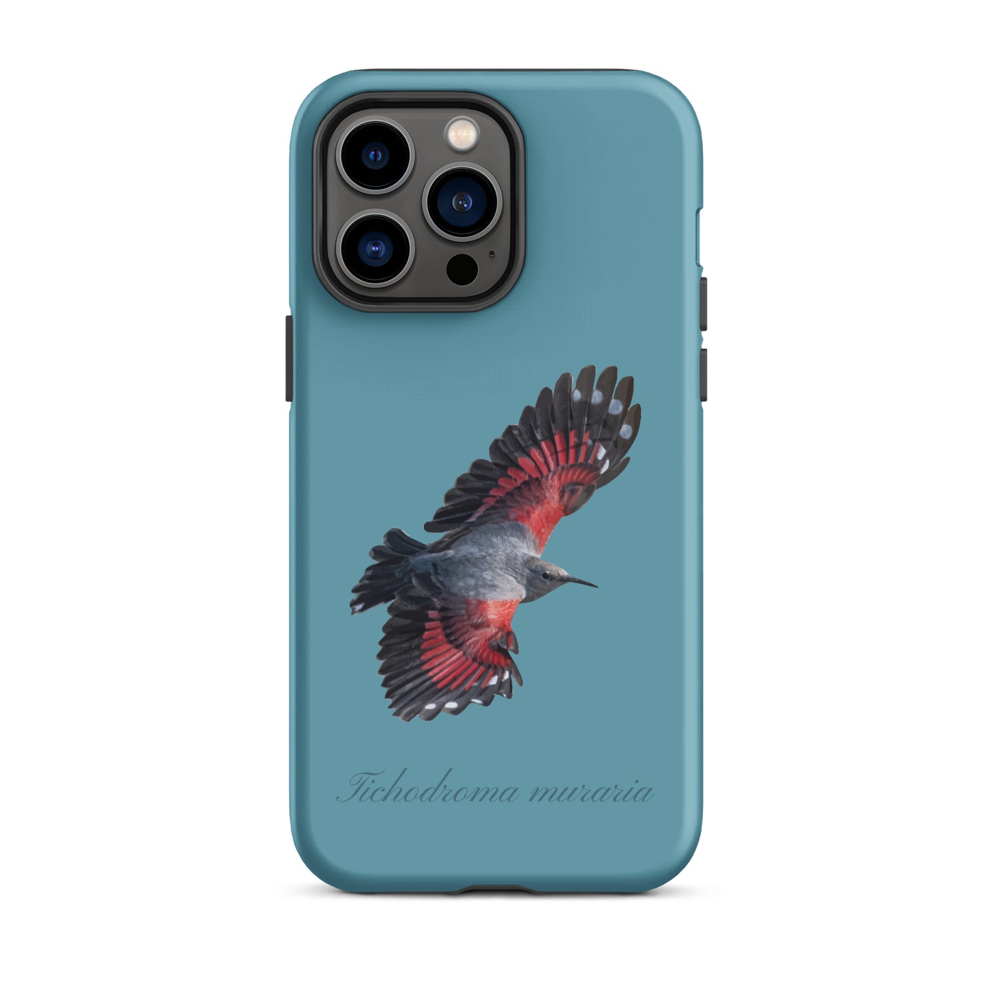Schutzhülle für Apple iPhone: iPhone Case - Mauerläufer - Gletscherwasserblau