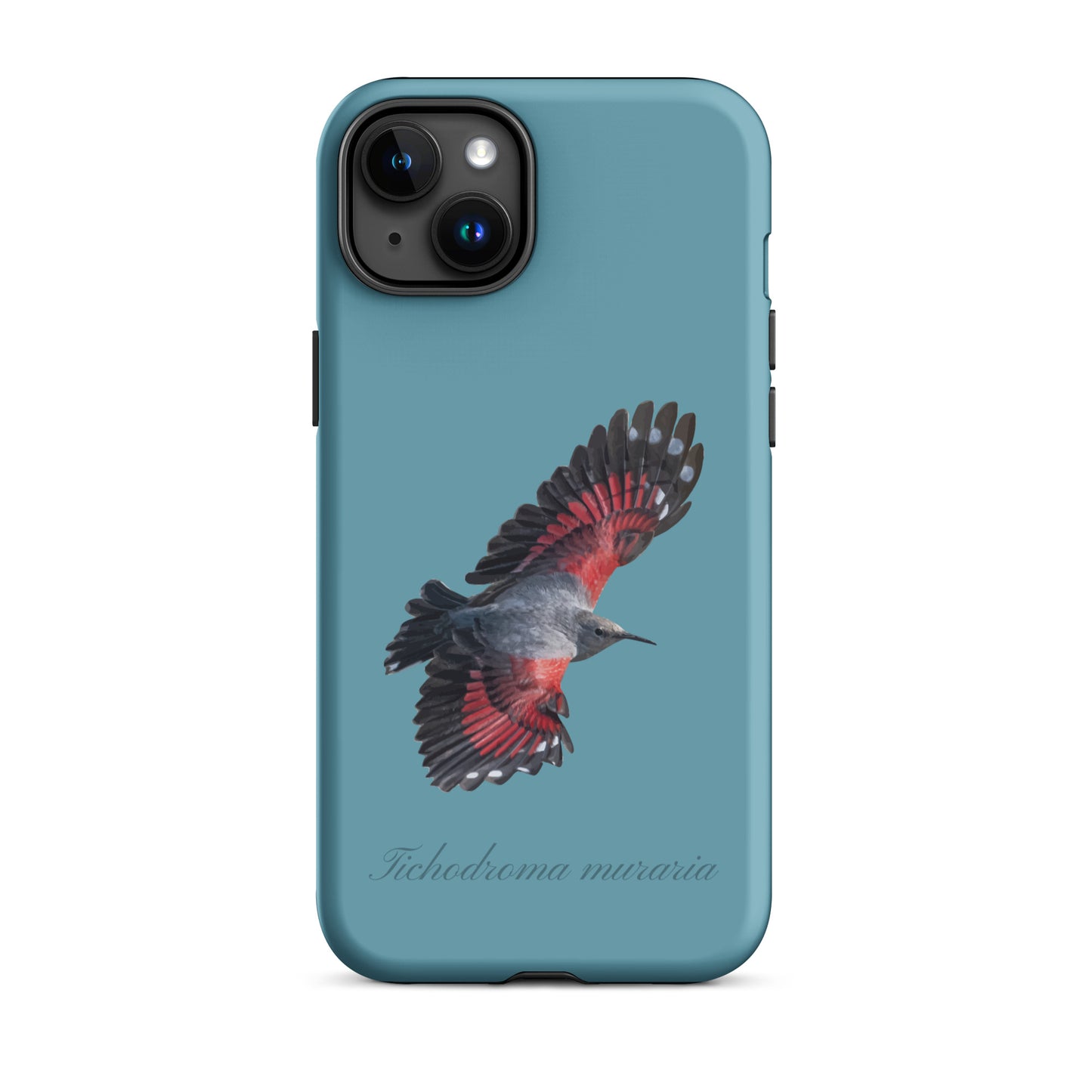 Schutzhülle für Apple iPhone: iPhone Case - Mauerläufer - Gletscherwasserblau