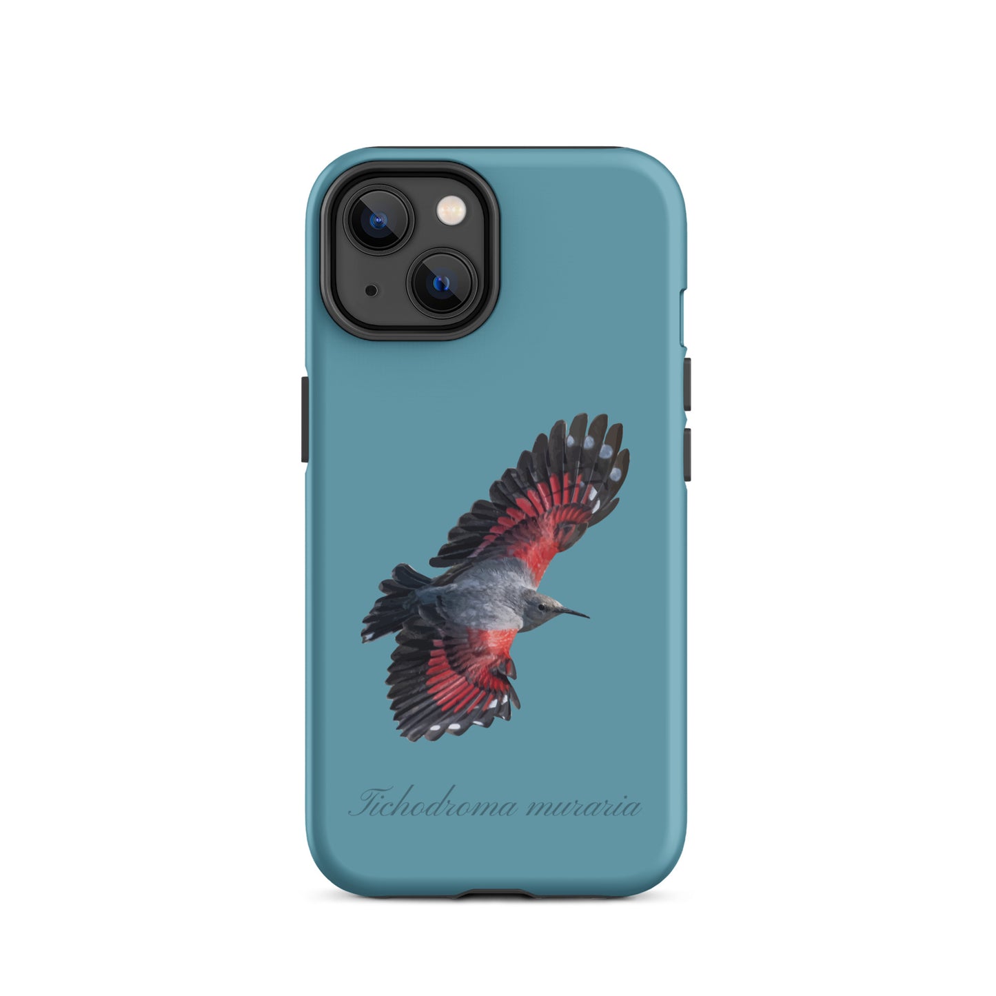 Schutzhülle für Apple iPhone: iPhone Case - Mauerläufer - Gletscherwasserblau