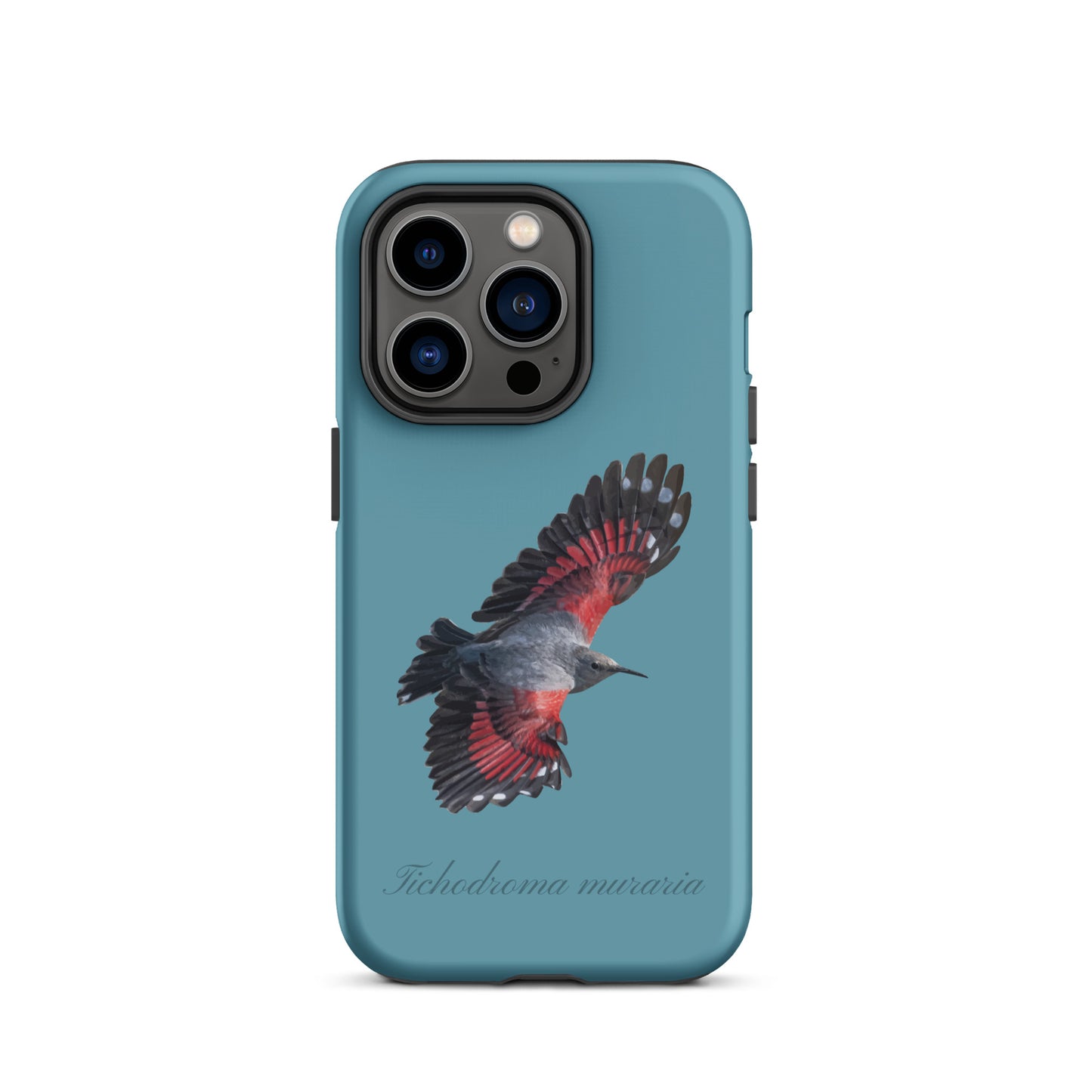 Schutzhülle für Apple iPhone: iPhone Case - Mauerläufer - Gletscherwasserblau