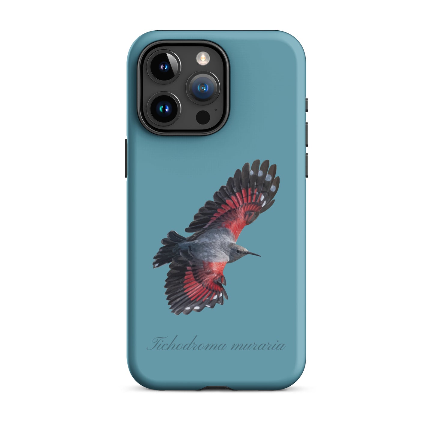 Schutzhülle für Apple iPhone: iPhone Case - Mauerläufer - Gletscherwasserblau