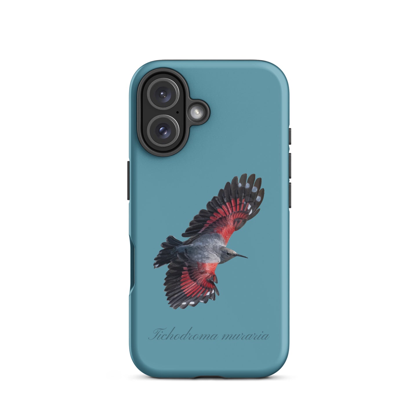 Schutzhülle für Apple iPhone: iPhone Case - Mauerläufer - Gletscherwasserblau
