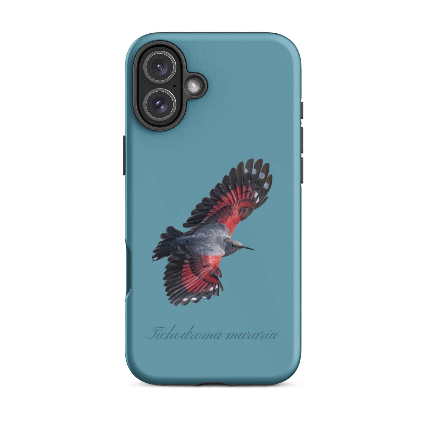Schutzhülle für Apple iPhone: iPhone Case - Mauerläufer - Gletscherwasserblau